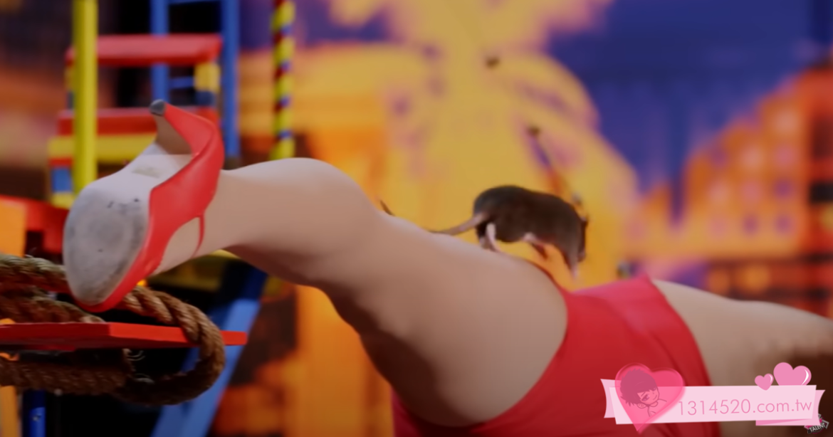 《美國達人秀》有史以來十大最有才華的動物！ 誰贏？Top 10 Most Talented Animals on America’s Got Talent EVER! Who Wins?